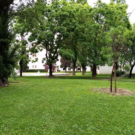 Chambre Double Greg En Colocation Montpellier Ngoại thất bức ảnh